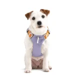 Woolly Wolf oprsnica Lavender Mix - slika 2